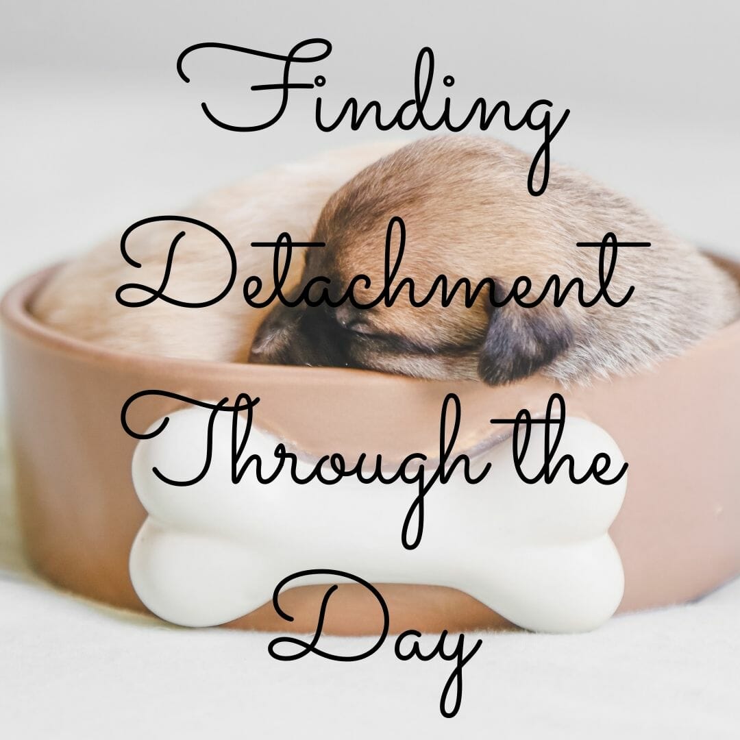 Finding Detachment Through the Day
